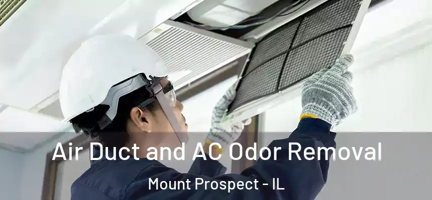 Air Duct and AC Odor Removal Mount Prospect - IL