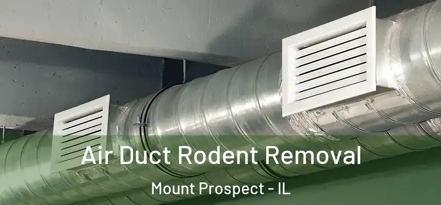  Air Duct Rodent Removal Mount Prospect - IL