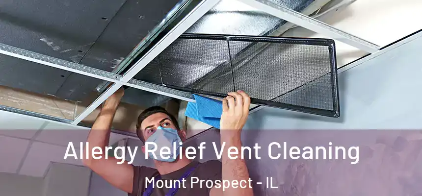  Allergy Relief Vent Cleaning Mount Prospect - IL