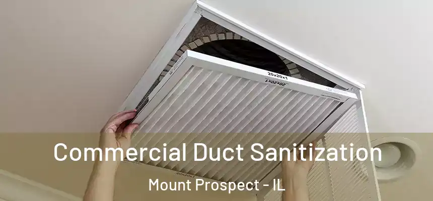 Commercial Duct Sanitization Mount Prospect - IL