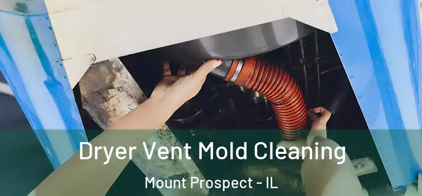 Dryer Vent Mold Cleaning Mount Prospect - IL