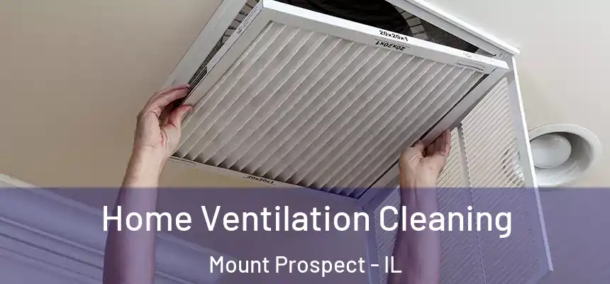  Home Ventilation Cleaning Mount Prospect - IL