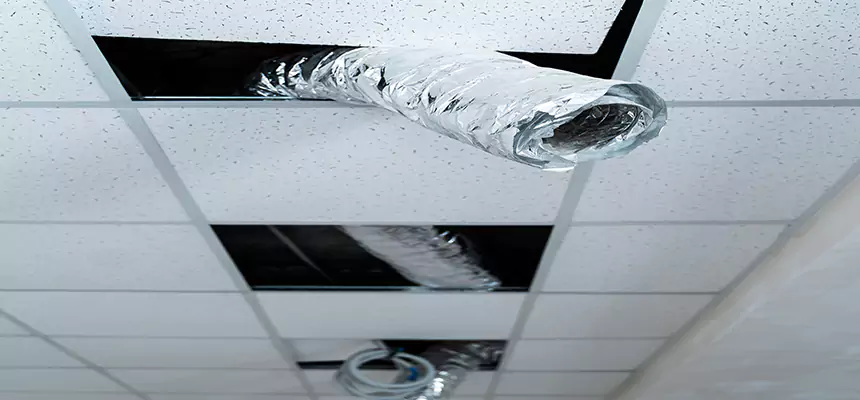 Our Air Duct Pet Hair Removal Services in Mount Prospect, IL