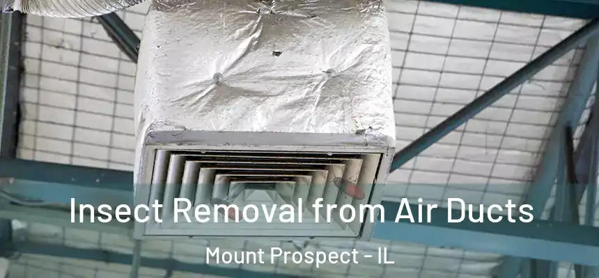 Insect Removal from Air Ducts Mount Prospect - IL