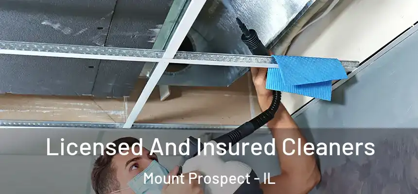 Licensed And Insured Cleaners Mount Prospect - IL
