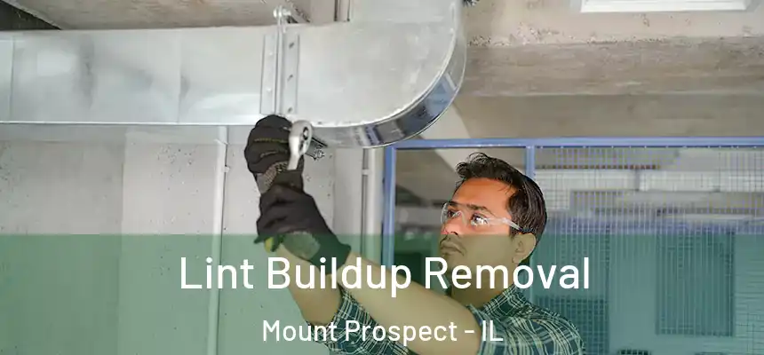 Lint Buildup Removal Mount Prospect - IL
