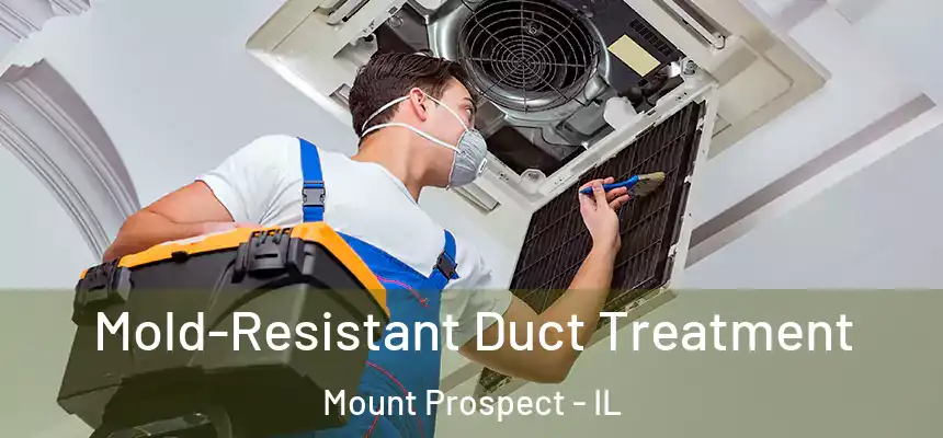 Mold-Resistant Duct Treatment Mount Prospect - IL