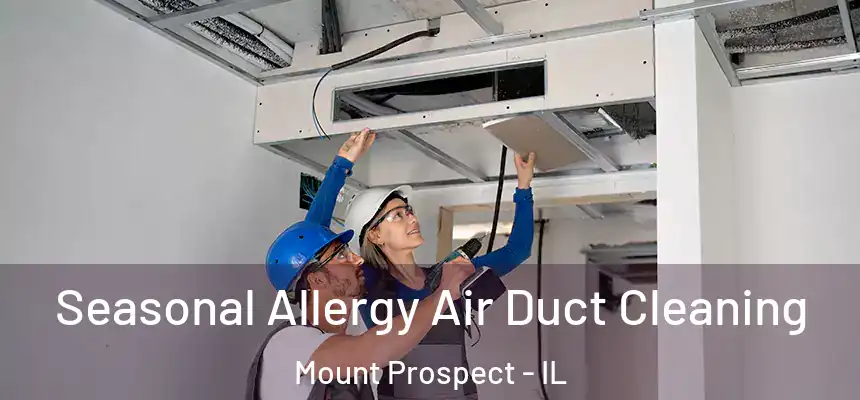 Seasonal Allergy Air Duct Cleaning Mount Prospect - IL