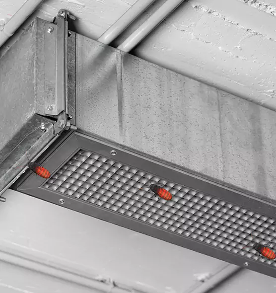 About Air Duct Cockroach Removal in Mount Prospect, IL