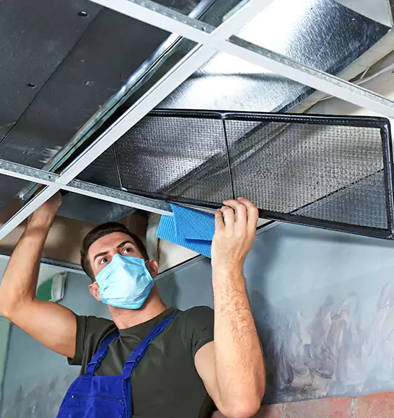 Professional Air Duct Pollen Cleaning in Mount Prospect, IL