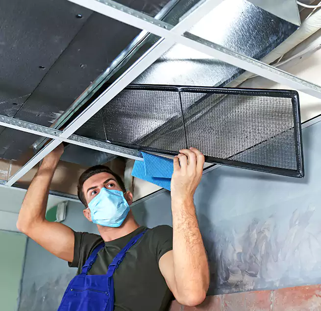 Why Homeowners Businesses Trust Us in Mount Prospect, IL