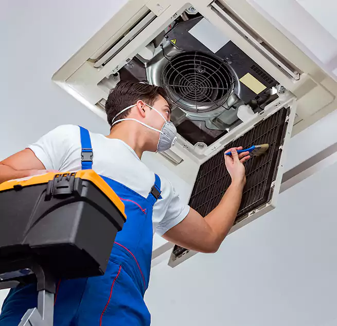 Why Homeowners & Businesses Trust Us in Mount Prospect, IL?