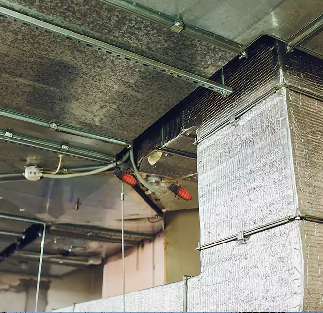 Why Homeowners & Businesses Trust Us Mount Prospect, IL?