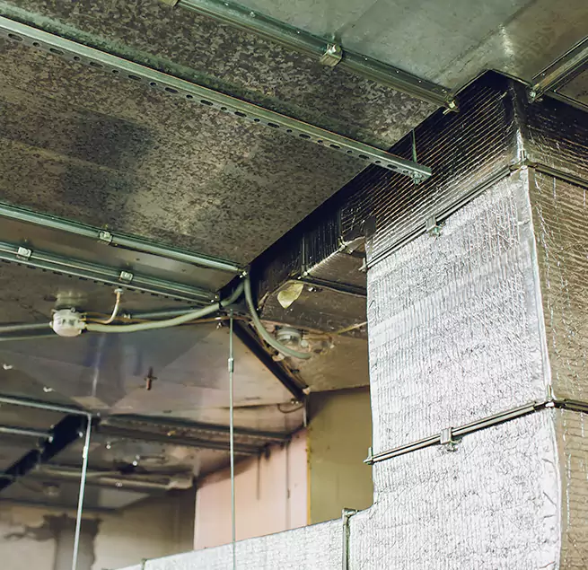 Why Homeowners & Businesses Trust Us in Mount Prospect, IL?